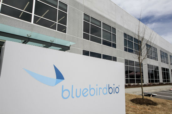 bluebird bio, Inc. (NASDAQ: BLUE) Quarterly Earnings Preview