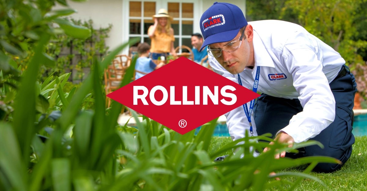 Rollins, Inc. (NYSEROL) Q2 2024 Earnings Overview FMP