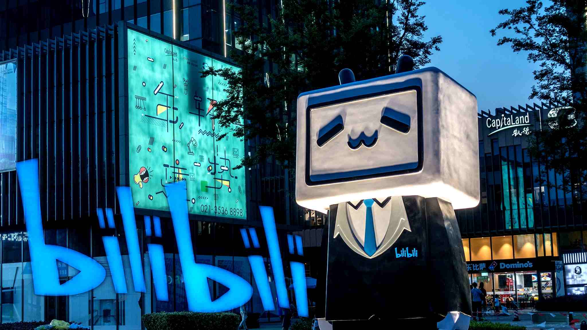 Bilibili Inc. (NASDAQ:BILI) Financial Performance Overview