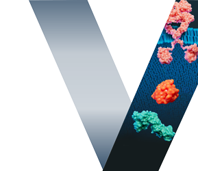 Verastem, Inc. (NASDAQ:VSTM) Gains Momentum Among Investors