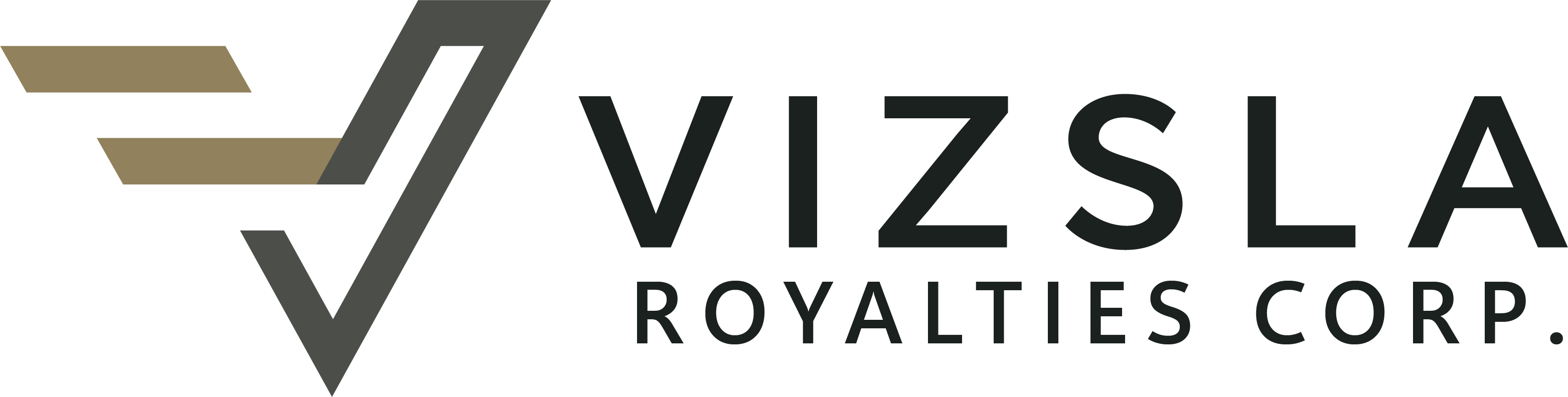 Vizsla Silver Corp. (NYSEAMERICAN:VZLA) Sees Positive Analyst Coverage and Stock Growth