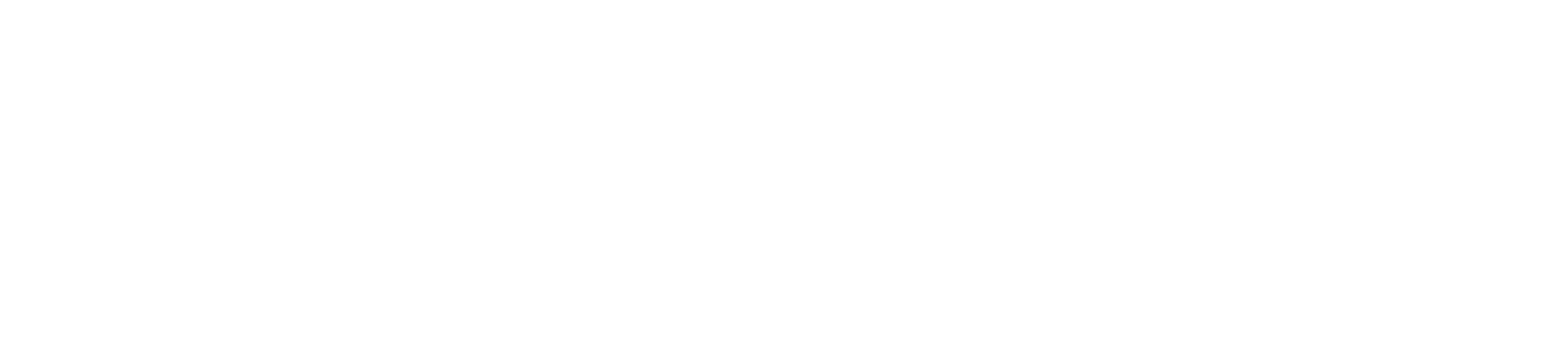 Dragonfly Energy (DFLI) Q4 and Full-Year 2025 Financial Performance Review