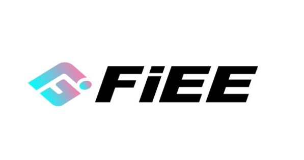 Analysis of FiEE, Inc. (NASDAQ:FIEE) Financial Performance: Concerns Over ROIC and WACC