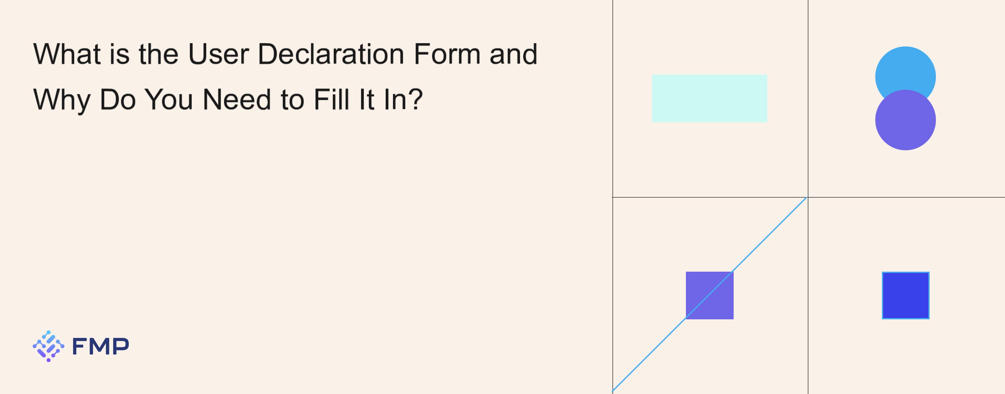 What is the User Declaration Form and Why Do You Need to... | FMP