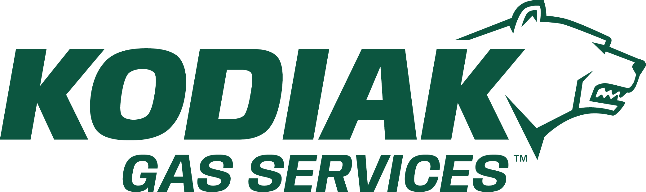 Citigroup Maintains Buy Rating on Kodiak Gas Services (NYSE: KGS), Raises Price Target