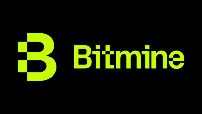 Bitmine Immersion Technologies (NYSE: BMNR): Analyzing Its Cryptocurrency Treasury and Financial Outlook Ahead of Earnings