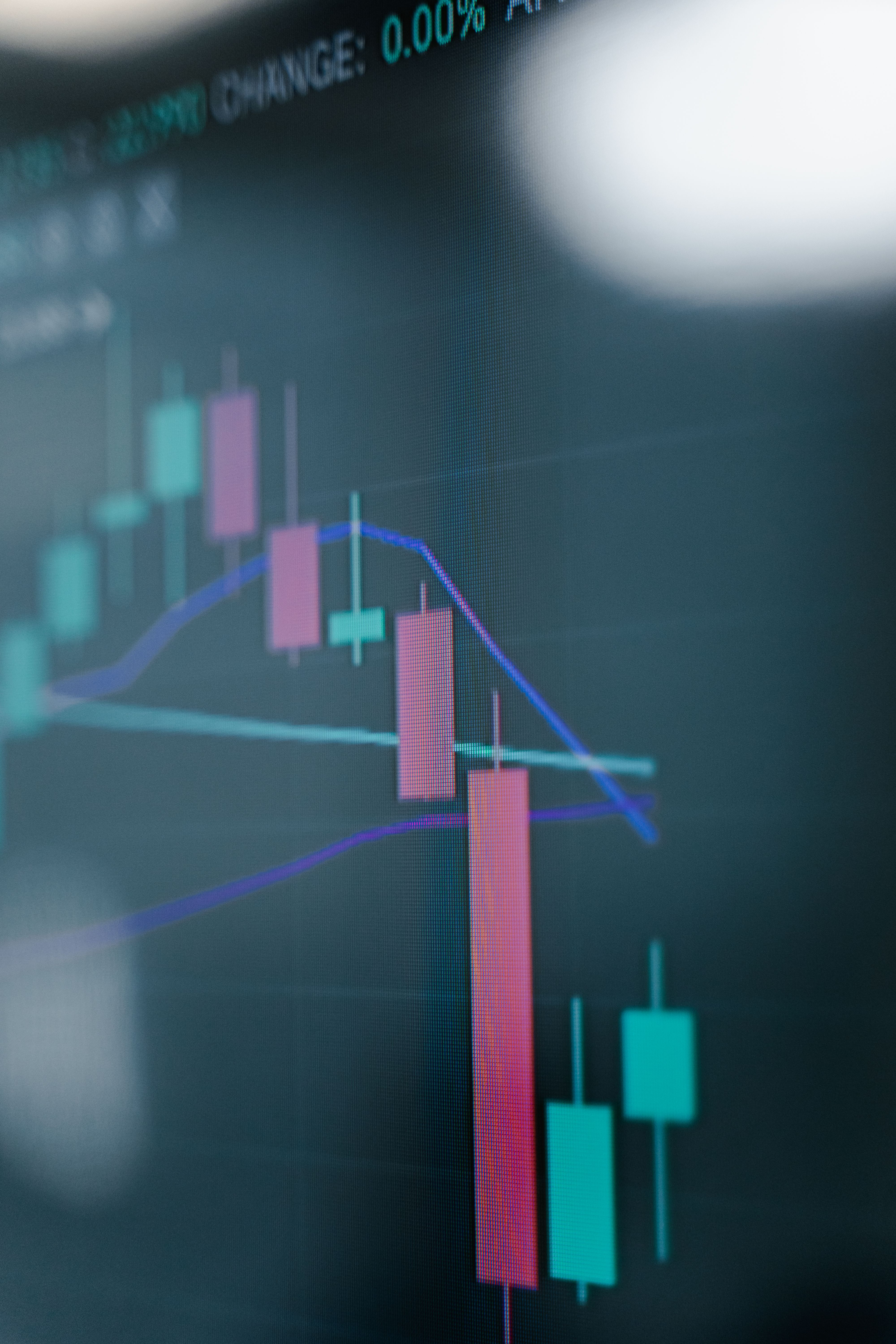 Top Stock Gainers: Catalysts Behind Today's Market Surges