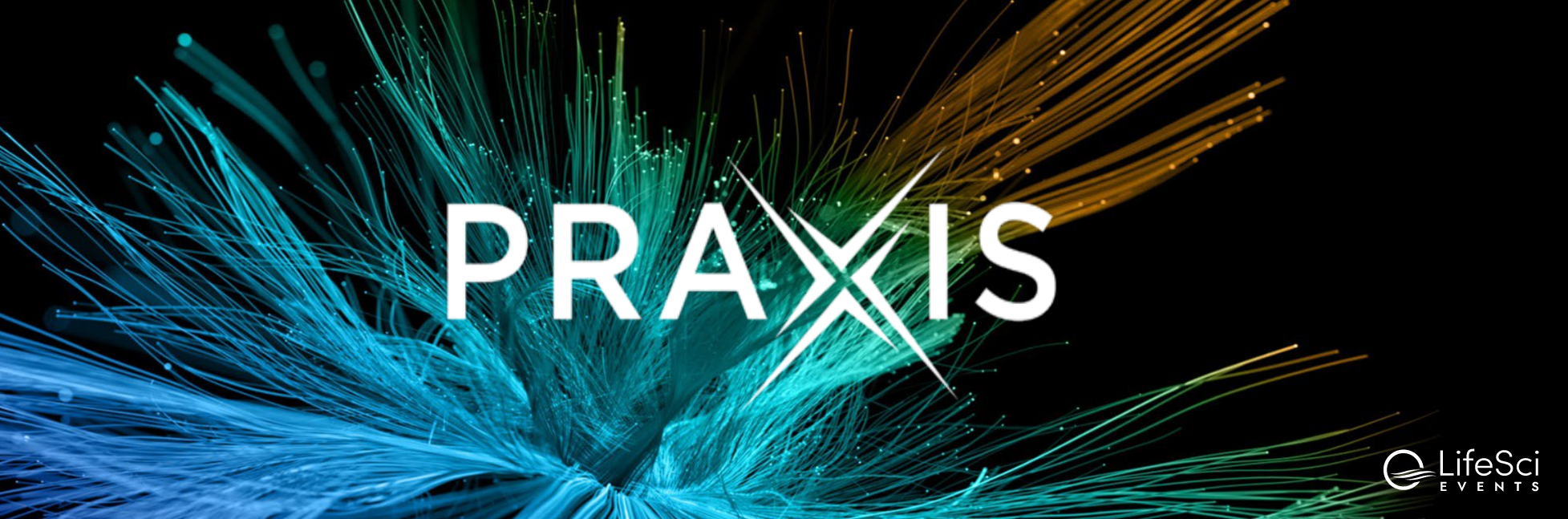 Praxis Precision Medicines (NASDAQ: PRAX) Earnings Preview: Financial Health and Investor Activity