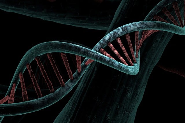 Twist Bioscience (TWST): Strong Revenue Growth Despite Earnings Miss
