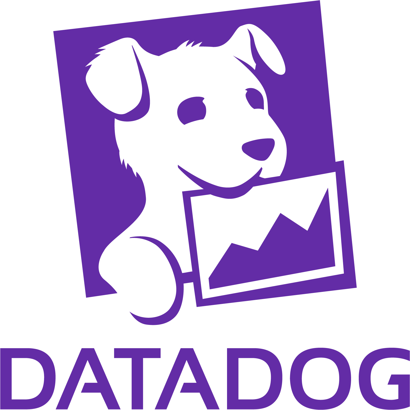Datadog (NASDAQ: DDOG) Stock: Strong Growth Prospects and Analyst Confidence