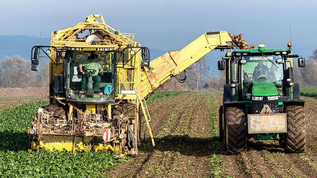 Bunge Global SA (NYSE: BG) Shows Strength with Insider Buy and Positive Analyst Outlook