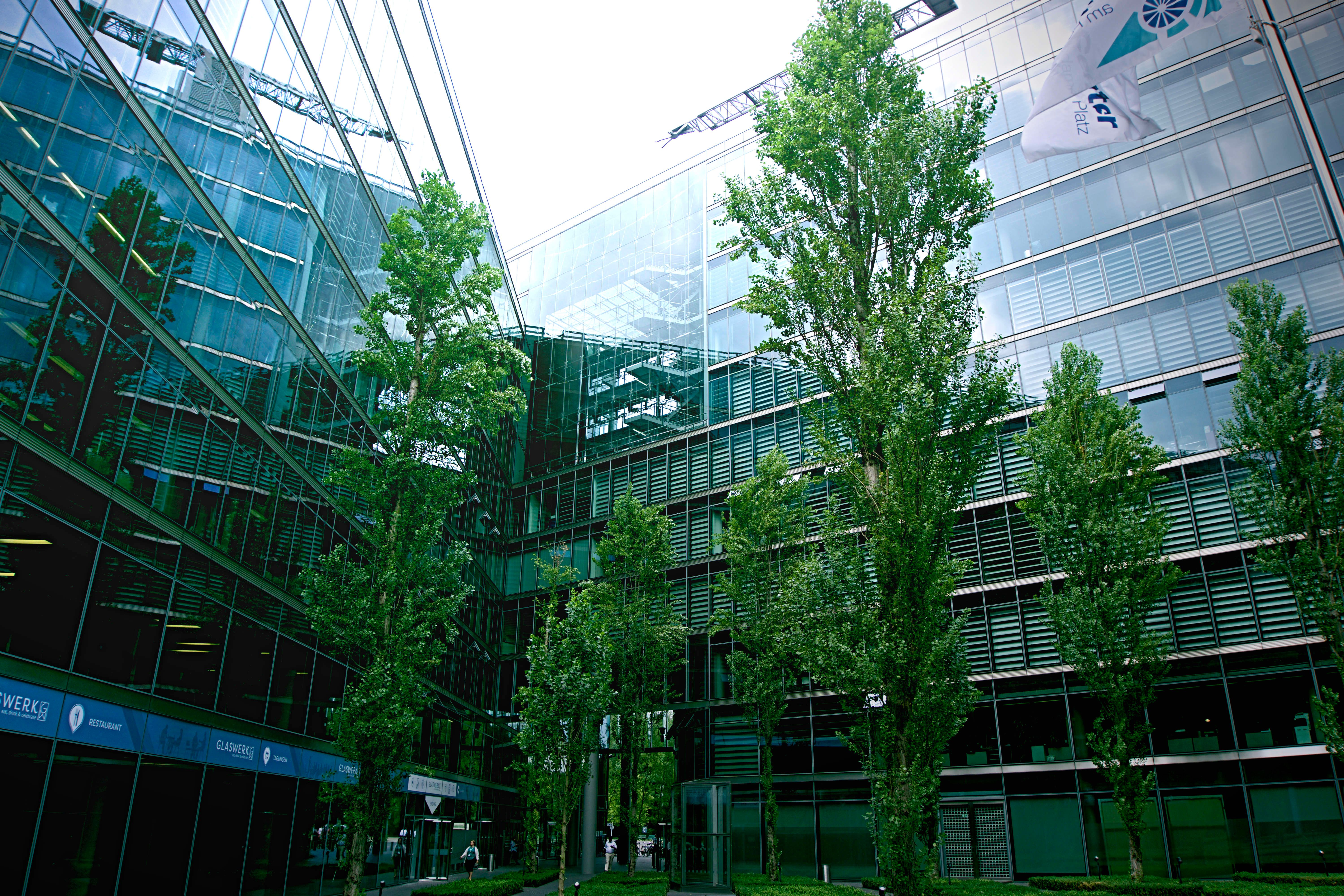 NASDAQ:ICFI