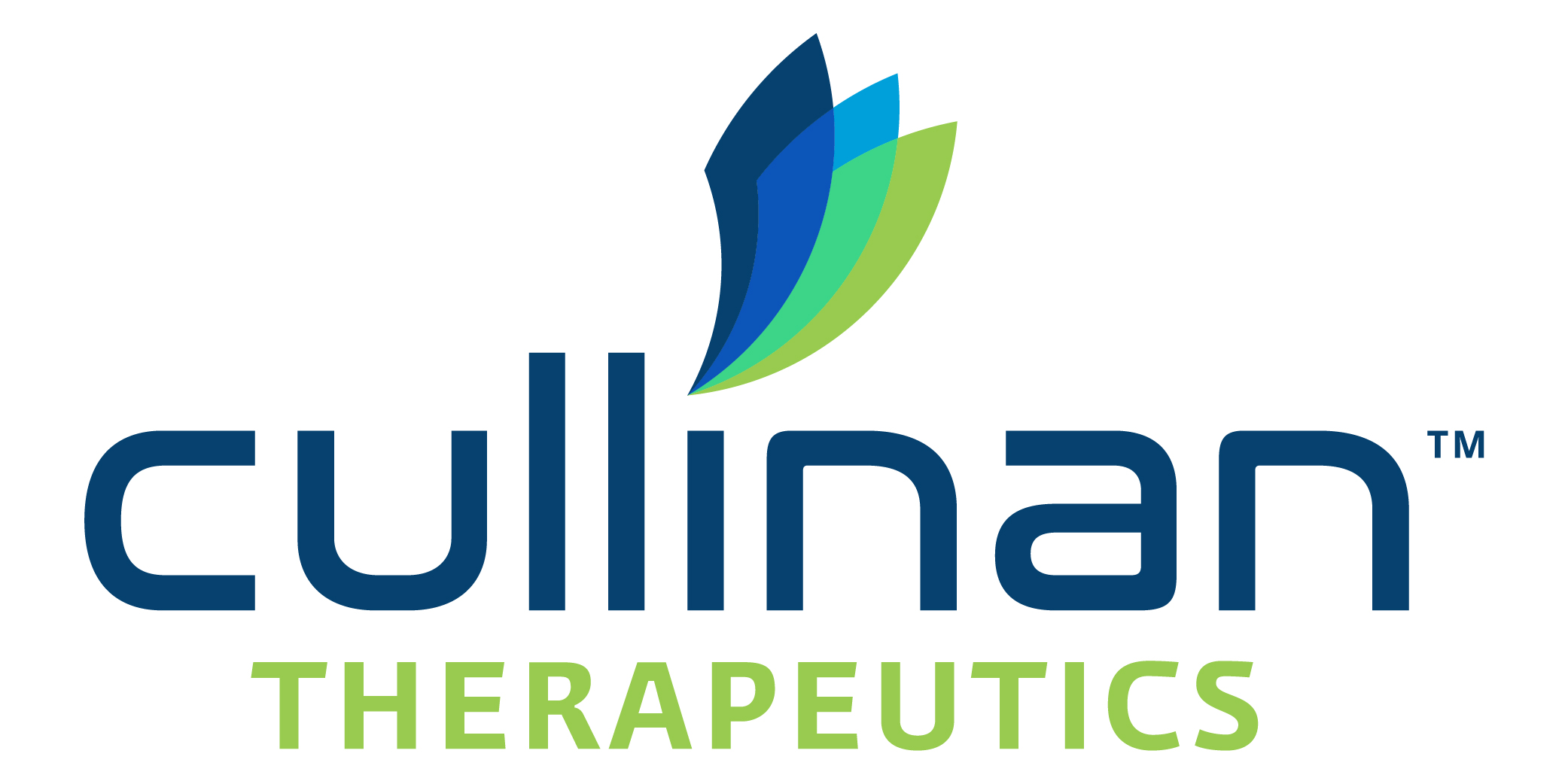 BTIG Raises Price Target for Cullinan Therapeutics (NASDAQ: CGEM) Amid Positive Lung Cancer Trial Results