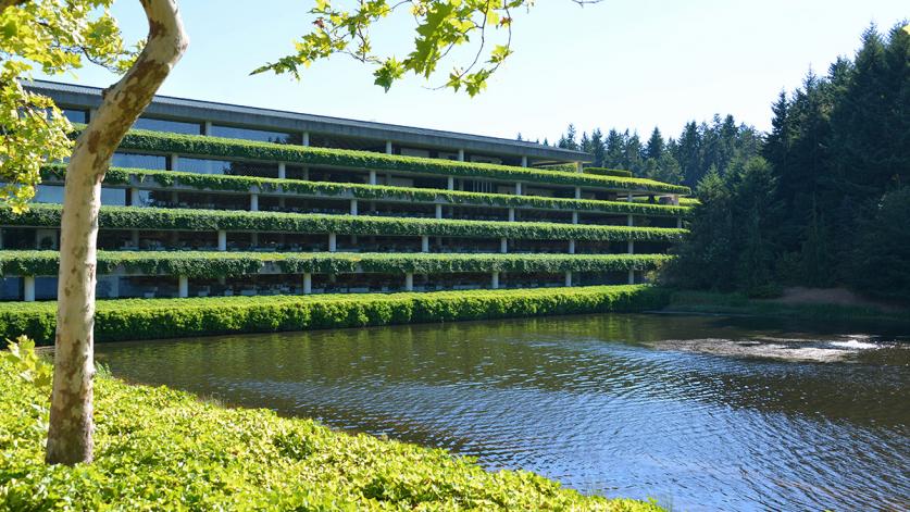 Weyerhaeuser (NYSE: WY) Stock Analysis: Price Target Adjustments and Market Performance